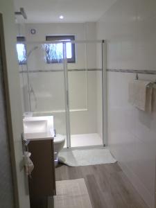 a bathroom with a shower and a sink and a toilet at Chambre de la baronne de Rochegrosse in Saint-Maurice-en-Gourgois