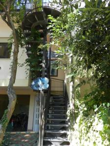 Zahrada ubytování B&B Bondi