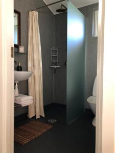 a bathroom with a shower and a sink and a toilet at Hotel Møllehuset in Hadsund