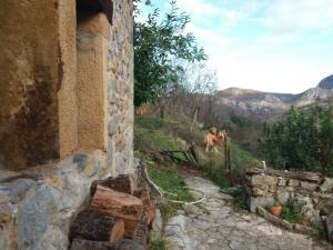 a horse walking down a hill with a building at La Cabaña del Beyu Pen in Amieva