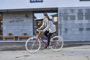 Hosté ubytování Radhotel am Gleis