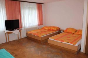 a room with two beds and a television in it at Youth Hostel Nika in Kranjska Gora