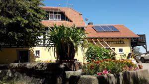a house with a plant in front of a house with solar panels at SPREEHOF Göbeln in Großdubrau