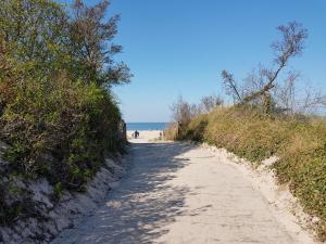 a dirt road leading to the beach on a sunny day at Haus Seeblick Ferienhaus Priwall in Priwall +10 photos