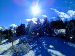 un campo cubierto de nieve con árboles y el sol en el cielo en Gasthof-Hotel Dilger, en Rattenberg
