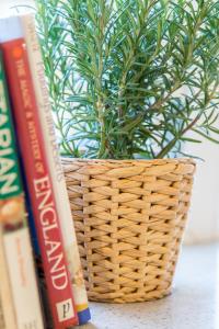 a plant in a wicker basket next to books at Luxury London Apartment in London