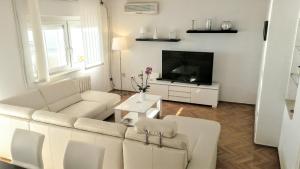 Televízia a/alebo spoločenská miestnosť v ubytovaní Apartman Brankica