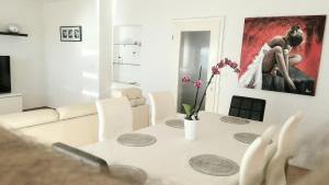 Televízia a/alebo spoločenská miestnosť v ubytovaní Apartman Brankica