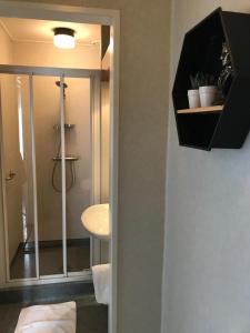 a bathroom with a glass shower and a sink at Hotel Loco in Lievelde