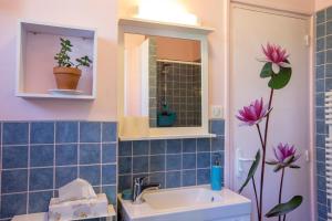 ein Badezimmer mit Waschbecken und Spiegel in der Unterkunft La Maison de L'Ousse in Livron + 33 Fotos