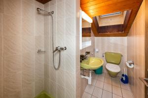 a bathroom with a green toilet and a sink at Fortuna Dachgeschoss in Grächen