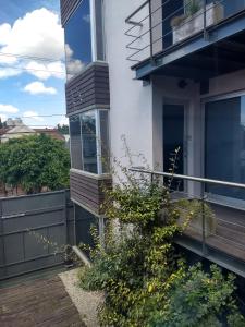 カンパーナにあるRefugio Urbano Apartamentosの家の脇に植物のあるバルコニー