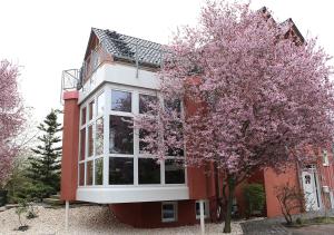 a red and white building with a tree in front of it at Gästehaus Kirschgarten in Bodenheim