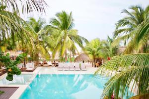 a swimming pool with palm trees and lounge chairs at Villas Caracol in Holbox Island