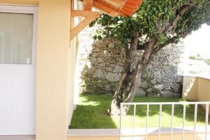 a door leading into a house with a tree at Casa da Nininha in Vale de Cambra