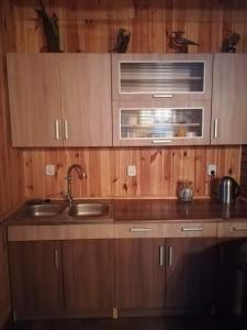 uma cozinha com um lavatório e um micro-ondas em Sielanka Dąbrowa em Rząśnik