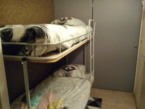 a dog laying on top of a bunk bed at Le Galibier in La Salle Les Alpes