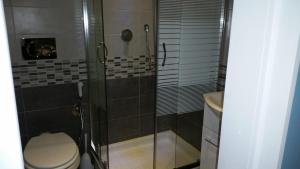 La salle de bains est pourvue de toilettes et d'une douche en verre. dans l'établissement BBCinecitta4YOU, à Rome