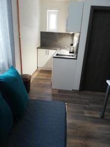 Kuchyň nebo kuchyňský kout v ubytování Apartmany Agatha