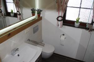 a bathroom with a sink and a toilet and windows at Ferienwohnung im Landhausstil in Missen-Wilhams +33 photos