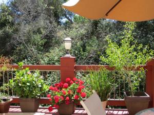 een patio met potplanten en een straatlicht bij Colton Inn in Monterey