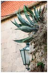 eine Pflanze an einer Backsteinmauer neben einem Straßenlicht in der Unterkunft Apartments Mirabella in Omiš