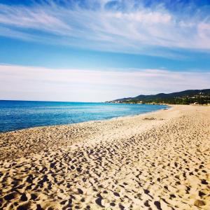 a sandy beach with a view of the ocean at Palauma Plage in Sari Solenzara