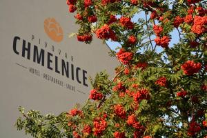 Certifikát, hodnocení, plakát nebo jiný dokument vystavený v ubytování hotel Chmelnice