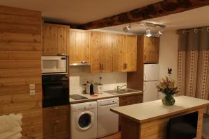 Küche/Küchenzeile in der Unterkunft appartement style chalet centre Barcelonnette