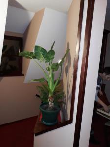 Imagen de la galería de Guesthouse "Kod Čileta", en Kovin