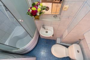 a small bathroom with a sink and a toilet at Smart Lwow House in Lviv