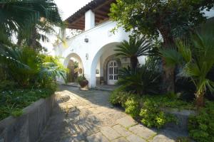 a courtyard of a white building with trees and plants at B&B Villa Regine camera con terrazza a Forio in Forio d'Ischia