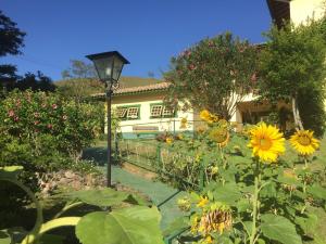 un jardín con girasoles y un poste de luz en Pousada Primavera en São Luiz do Paraitinga