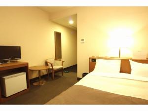 TV a/nebo společenská místnost v ubytování Hotel New Shizuoka