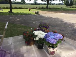 Billede fra billedgalleriet på Eight ball house i Southburgh