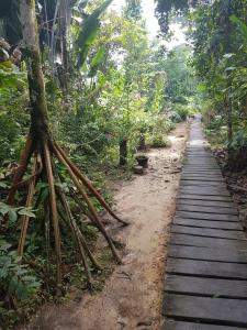 a wooden path in the middle of a forest at Omshanty Jungle Lodge in Leticia