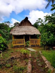 uma pequena cabana com telhado de palha num campo em Omshanty Jungle Lodge em Leticia