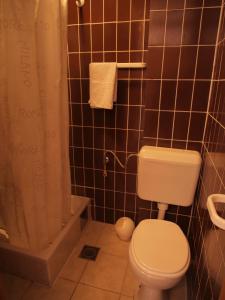Koupelna v ubytování Apartments Adria