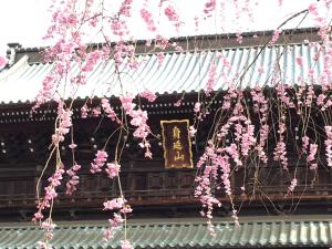 Gallery image of Ryokan TANAKAYA in Minobu