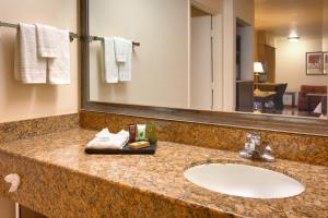 a bathroom counter with a sink and a mirror at Cortona Inn and Suites Anaheim Resort in Anaheim