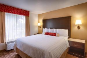 a hotel room with a large bed and a window at Cortona Inn and Suites Anaheim Resort in Anaheim