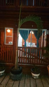 Fotografie z fotogalerie ubytování Hotelito Villas Holbox v destinaci Ostrov Holbox