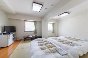 een slaapkamer met een groot bed en een flatscreen-tv bij Hotel Airport Komatsu in Komatsu