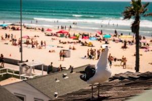 a seagull standing on top of a building at a beach at The Beach Cottages in San Diego +1 photo