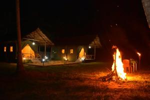 Foto dalla galleria di Jungle View River Camping a Udawalawe