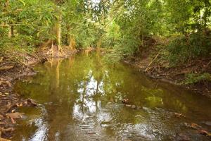 Paesaggio naturale nelle vicinanze dell'affittacamere