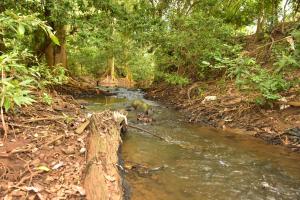 Paesaggio naturale nelle vicinanze dell'affittacamere