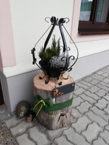 a plant in a pot on top of a tree stump at Schmaranzer in Bad Ischl