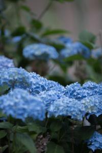 Foto dalla galleria di Logis hôtel restaurant Auberge de l'Espinouse a Fraisse-sur-Agout