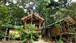 a tree house in the middle of the forest at Saffron Eco Cottage in Ella